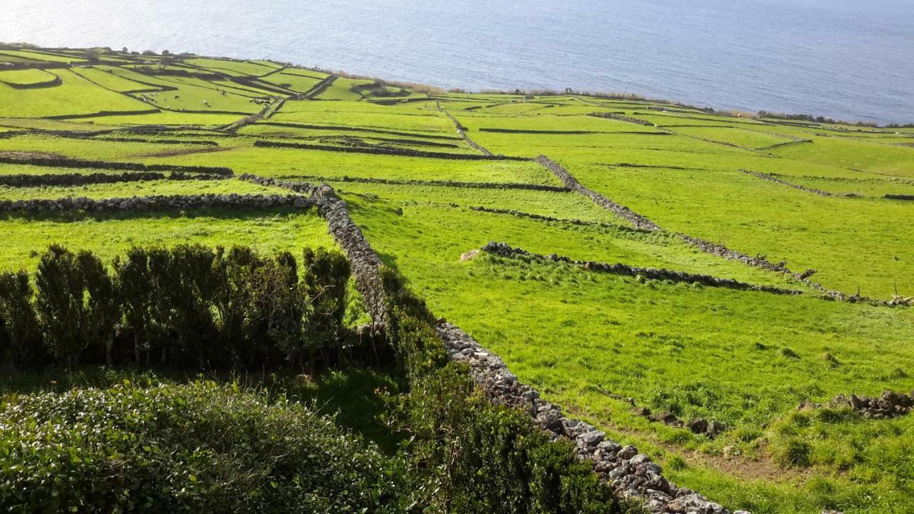 Quinta Do Oeste Doze Ribeiras Dış mekan fotoğraf