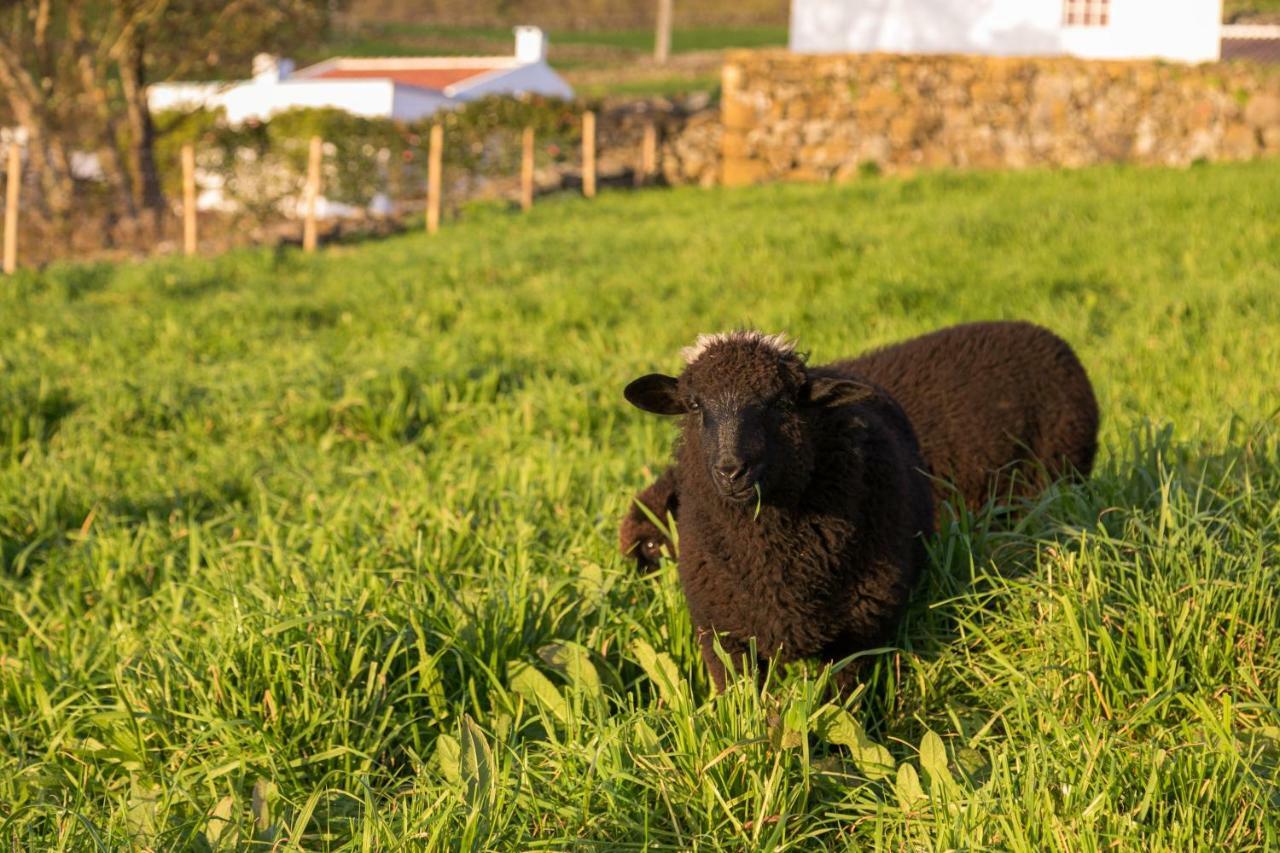 Quinta Do Oeste Doze Ribeiras Dış mekan fotoğraf